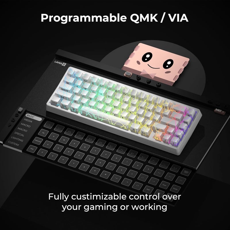 HITIME x XVX M67 Wireless 60% Percent Keyboard, QMK/VIA Gaming Keyboard, Tri-Mode Thocky Creamy Mechanical Key Board, Hot Swappable Gasket Mount RGB IMD Tech for Win/Mac, Spider Web Theme, White - Image 4